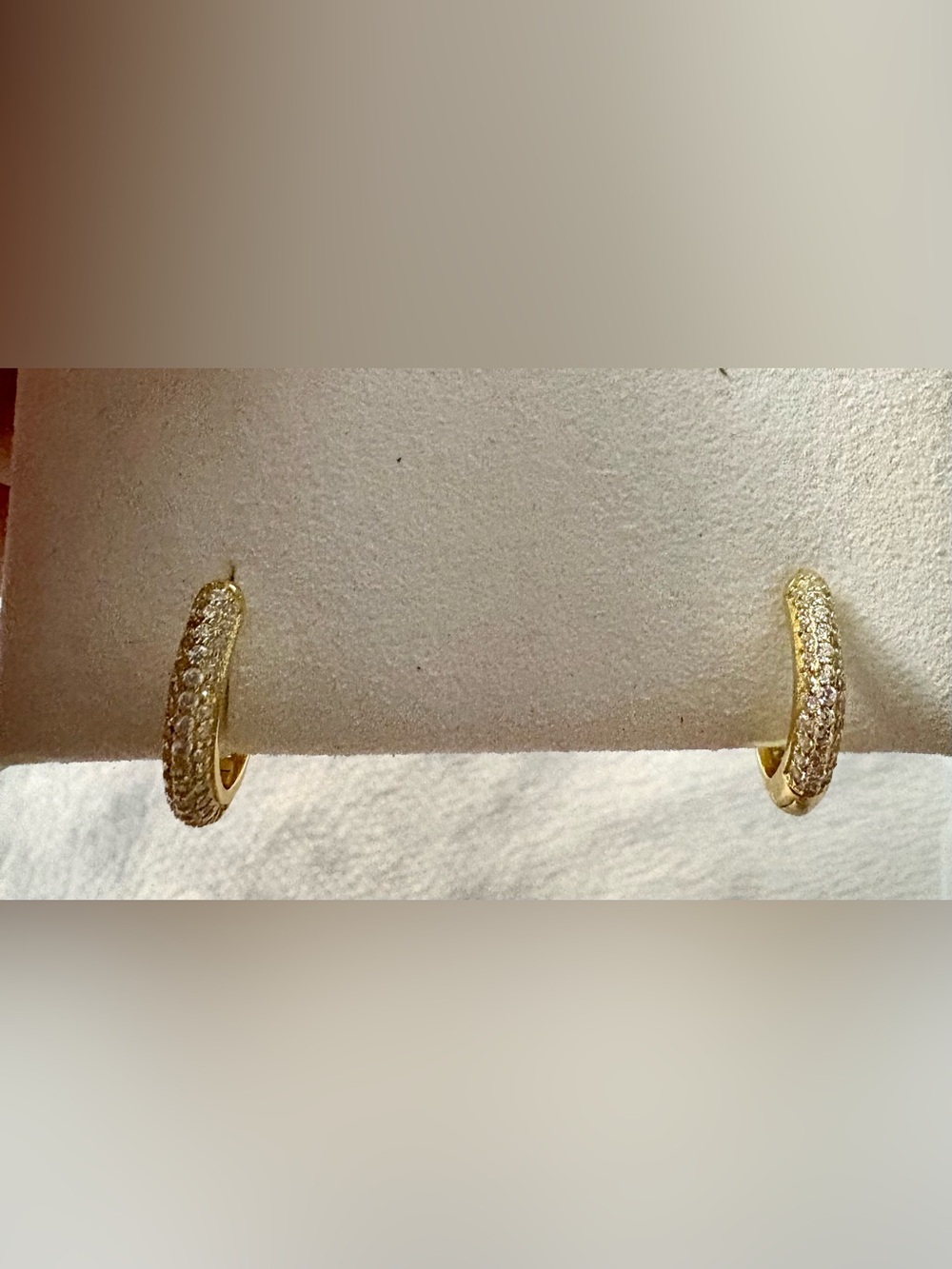 Gold Hoop earrings